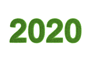 2020 New Year date in green grass