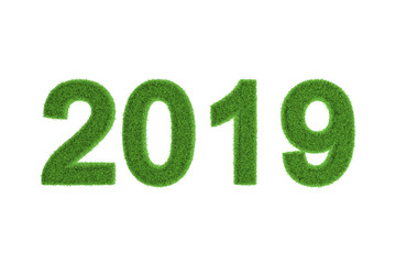 2019 New Year date in green grass