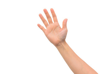 Fototapeta premium isolated woman hand shows the number five