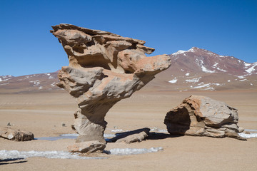 Fototapeta na wymiar Arbol de Piedra, Bolivien
