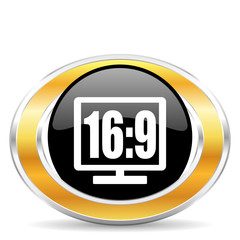 16 9 display icon
