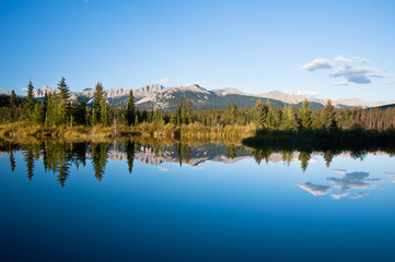 Mina Riley Loop Trail