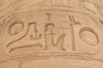 Detailed view of the cartouche (Karnak, Egypt) - obrazy, fototapety, plakaty