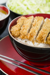 Tonkatsu - Japanese pork cutlet with rice, cabbage and curry