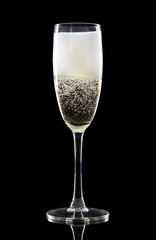 Champagne