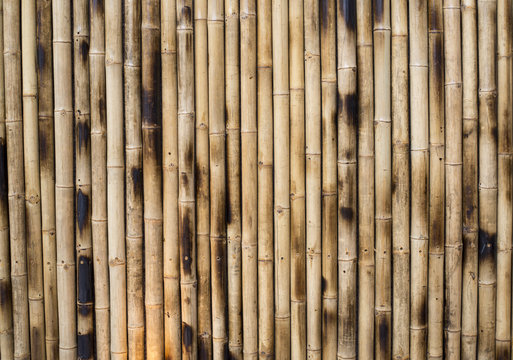 Dry Bamboo Columns
