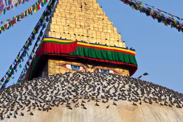 Rolgordijnen Boudhanath stupa in Kathmandu, Nepal © Zzvet