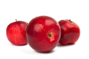 red ripe apple isolated