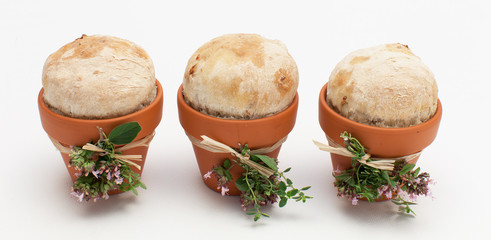 Kräuterbrot im Blumentopf