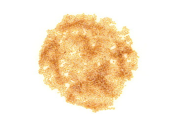 Sprouting seeds of cuckooflower on the white background