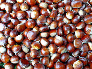 chestnuts_brown