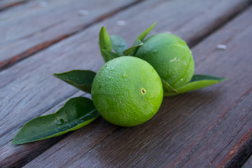 The fruits of the orange tree on the table