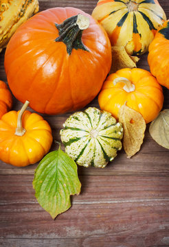 Pumpkins and squashes and autumn leaves