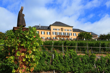 Schloss Johannisberg (Rheingau) - September 2013