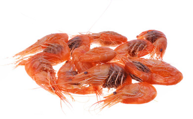 Freshly boiled shrimps