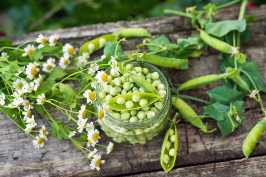 Canning peas at home, outdoors