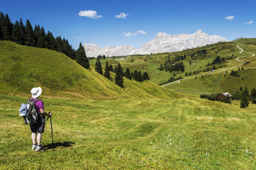 Fototapeta na wymiar Dolomiti Alta Badia panorama