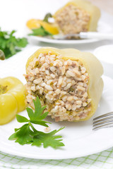 peppers stuffed with minced meat and bulgur, vertical