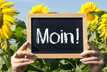 Moin Kreidetafel mit Sonnenblume