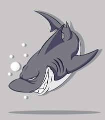 Shark. Vector