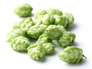 Obraz premium Heap of hop