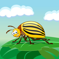Cartoon colorado potato beetle