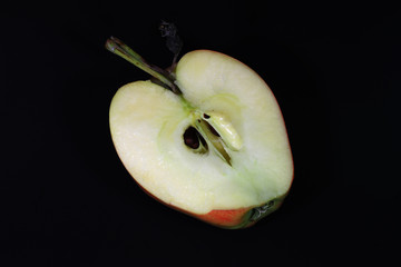 Apfelquerschnitt