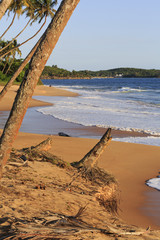 Pristine deserted African beach at sunset with palm trees