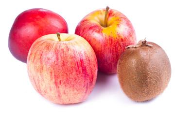 Collection fruits isolated on a white background.