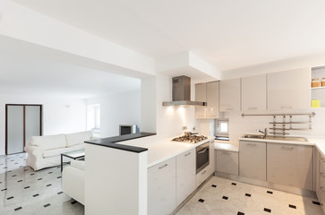 Interior, small apartment, white kitchen view