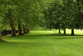 Fototapeta na wymiar Zielone Drzewa zapewniają cień w parku w lecie