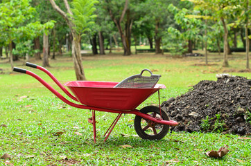 red wheelbarrow in garden
