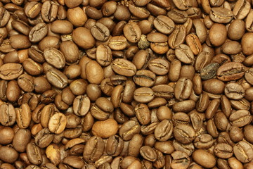 Chicchi di caffè - Coffee grains