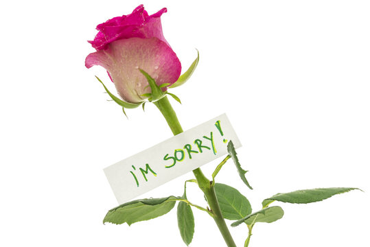 I am sorry note