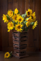 Still life. Beautiful Sunflowers  against a wooden wall