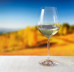 Glass of wine on nature background