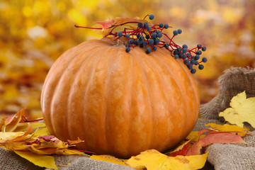 Naklejka na ściany i meble pumpkin and autumn leaves, on yellow background