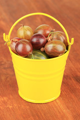 Fresh gooseberries in bucket on table close-up