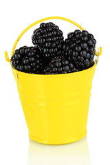 Sweet blackberries in bucket isolate on white