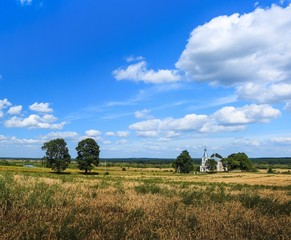 Obraz premium Сельский пейзаж с церковью.