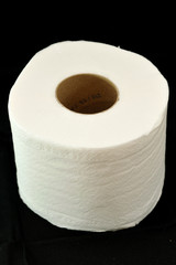 The one roll of tissue.