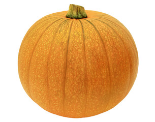 Pumpkin