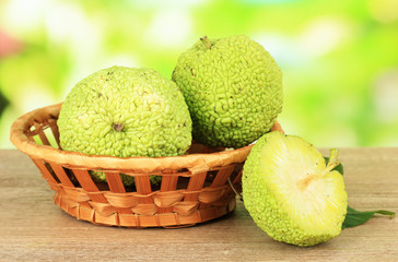 Osage Orange fruits (Maclura pomifera) in basket,