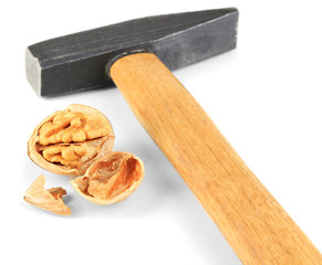 Broken walnut with hammer isolated on white