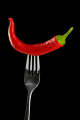 Fototapeta na wymiar Red hot chili pepper on fork, isolated on black