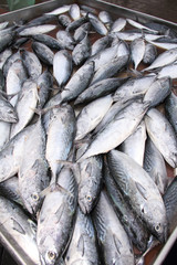 Obraz premium Fresh fish