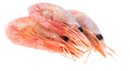 Isolated Raw Prawns