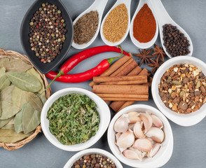 Colorful herbs and spices selection