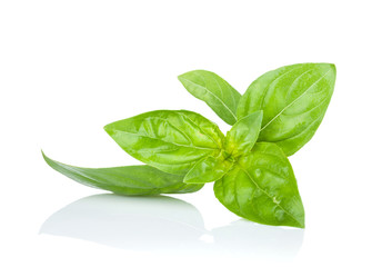 Fresh basil