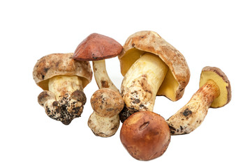 Mushrooms.